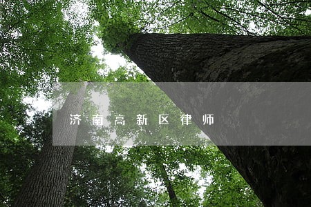 济南高新区律师 济南高新区律师