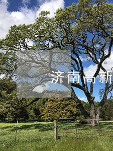 济南高新法院审理一起重大骗税案 济南高新法院审理一起重大骗税案