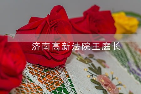 济南高新法院王庭长 济南高新法院王庭长