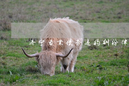 济宁专业债务违约纠纷律师 济宁专业债务违约纠纷律师