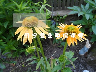 济宁专业取保律师 济宁专业取保律师