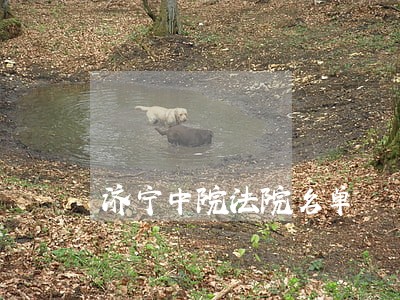 济宁中院法院名单 济宁中院法院名单