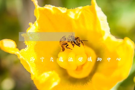 济宁交通法律援助中心 济宁交通法律援助中心