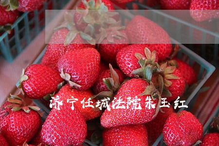 济宁任城法院朱玉红