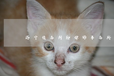 济宁债务纠纷律师事务所