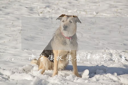 济宁债权债务律师怎么委托 济宁债权债务律师怎么委托