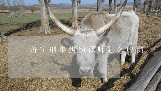 济宁刑事纠纷律师怎么收费 济宁刑事纠纷律师怎么收费