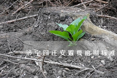 济宁回迁安置费逾期标准 济宁回迁安置费逾期标准