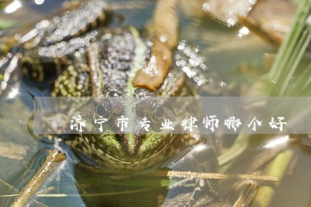 济宁市专业律师哪个好 济宁市专业律师哪个好