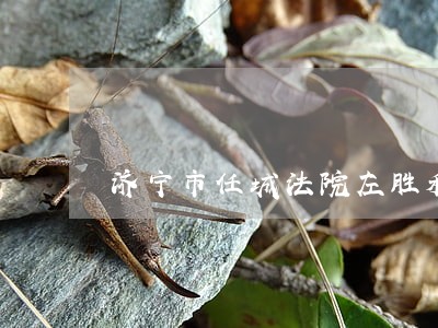 济宁市任城法院左胜利 济宁市任城法院左胜利