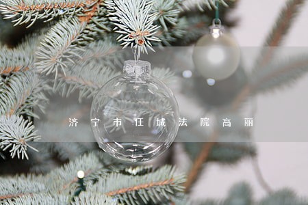 济宁市任城法院高丽 济宁市任城法院高丽