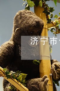 济宁市债务风险代理律师事务所 济宁市债务风险代理律师事务所