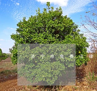 济宁市免费法律援助 济宁市免费法律援助