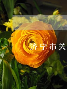济宁市关于疫情期间逾期