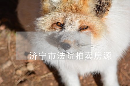济宁市法院拍卖房源 济宁市法院拍卖房源