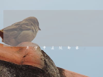 济宁市法院郭睿 济宁市法院郭睿