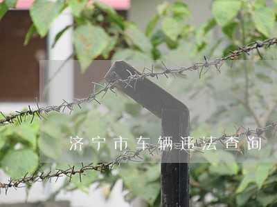 济宁市车辆违法查询 济宁市车辆违法查询