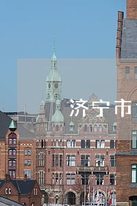 济宁市违法建设查处实施方案