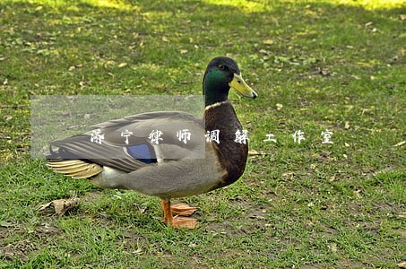 济宁律师调解工作室 济宁律师调解工作室