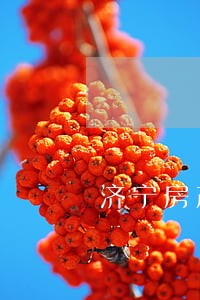 济宁房产纠纷律师咨询 济宁房产纠纷律师咨询