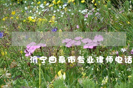 济宁曲阜市专业律师电话咨询 济宁曲阜市专业律师电话咨询