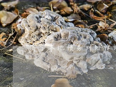 济宁本地债务纠纷律师费用标准 济宁本地债务纠纷律师费用标准
