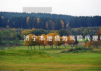 济宁本地债务风险代理律师电话 济宁本地债务风险代理律师电话
