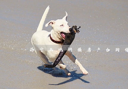 济宁本地聘请房产合同律师 济宁本地聘请房产合同律师
