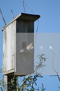 济宁民事案件律师咨询 济宁民事案件律师咨询