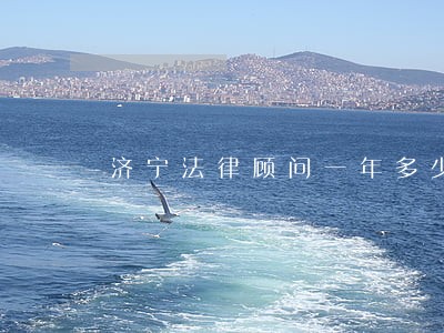济宁法律顾问一年多少钱 济宁法律顾问一年多少钱