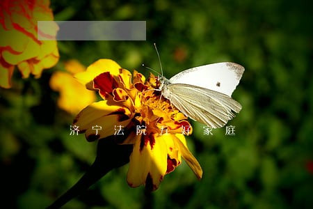 济宁法院五好家庭