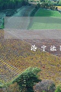 济宁法院何彦民判决文书 济宁法院何彦民判决文书