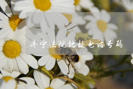 济宁法院地址电话号码 济宁法院地址电话号码