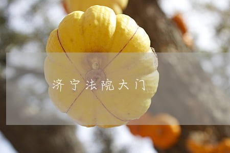 济宁法院大门