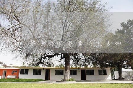 济宁法院拍卖信息查询