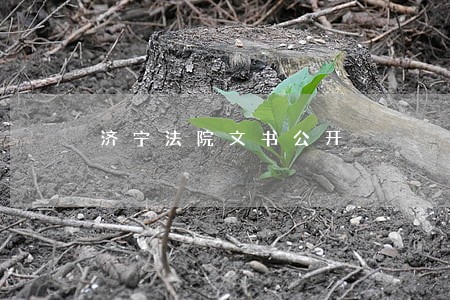 济宁法院文书公开 济宁法院文书公开