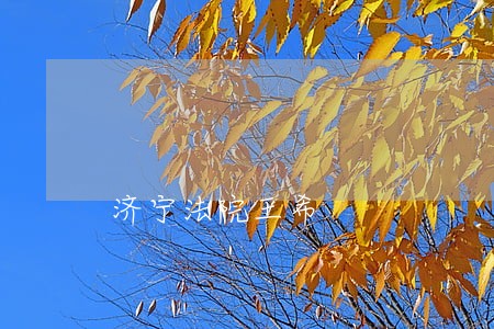 济宁法院王希