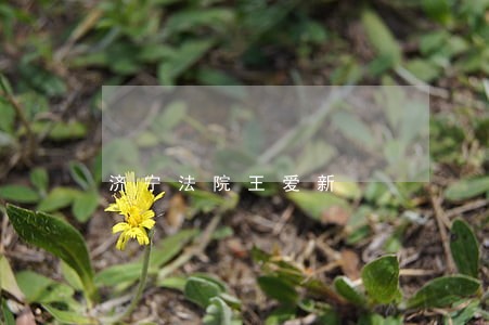 济宁法院王爱新 济宁法院王爱新