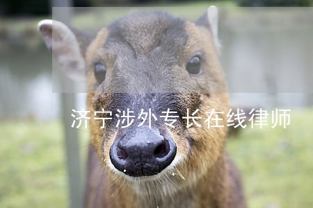 济宁涉外专长在线律师 济宁涉外专长在线律师