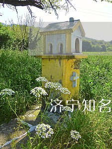 济宁知名离婚律师有哪些 济宁知名离婚律师有哪些