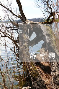 济宁聘请债务合同律师 济宁聘请债务合同律师