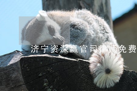 济宁资深赢官司律师免费咨询 济宁资深赢官司律师免费咨询