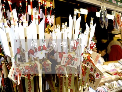 济州岛逾期罚款 济州岛逾期罚款