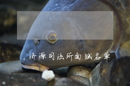 济源司法所面试名单 济源司法所面试名单
