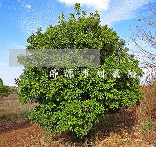 济源市划痕险纠纷律师 济源市划痕险纠纷律师