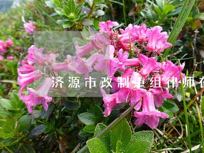 济源市改制重组律师在线免费咨询
