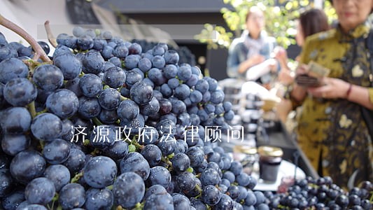济源政府法律顾问