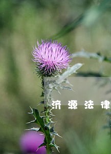 济源法律援助中心在哪 济源法律援助中心在哪
