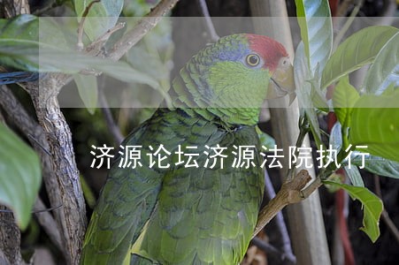 济源论坛济源法院执行 济源论坛济源法院执行