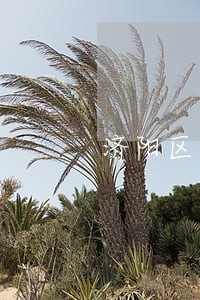 济阳区专业律师多少钱 济阳区专业律师多少钱